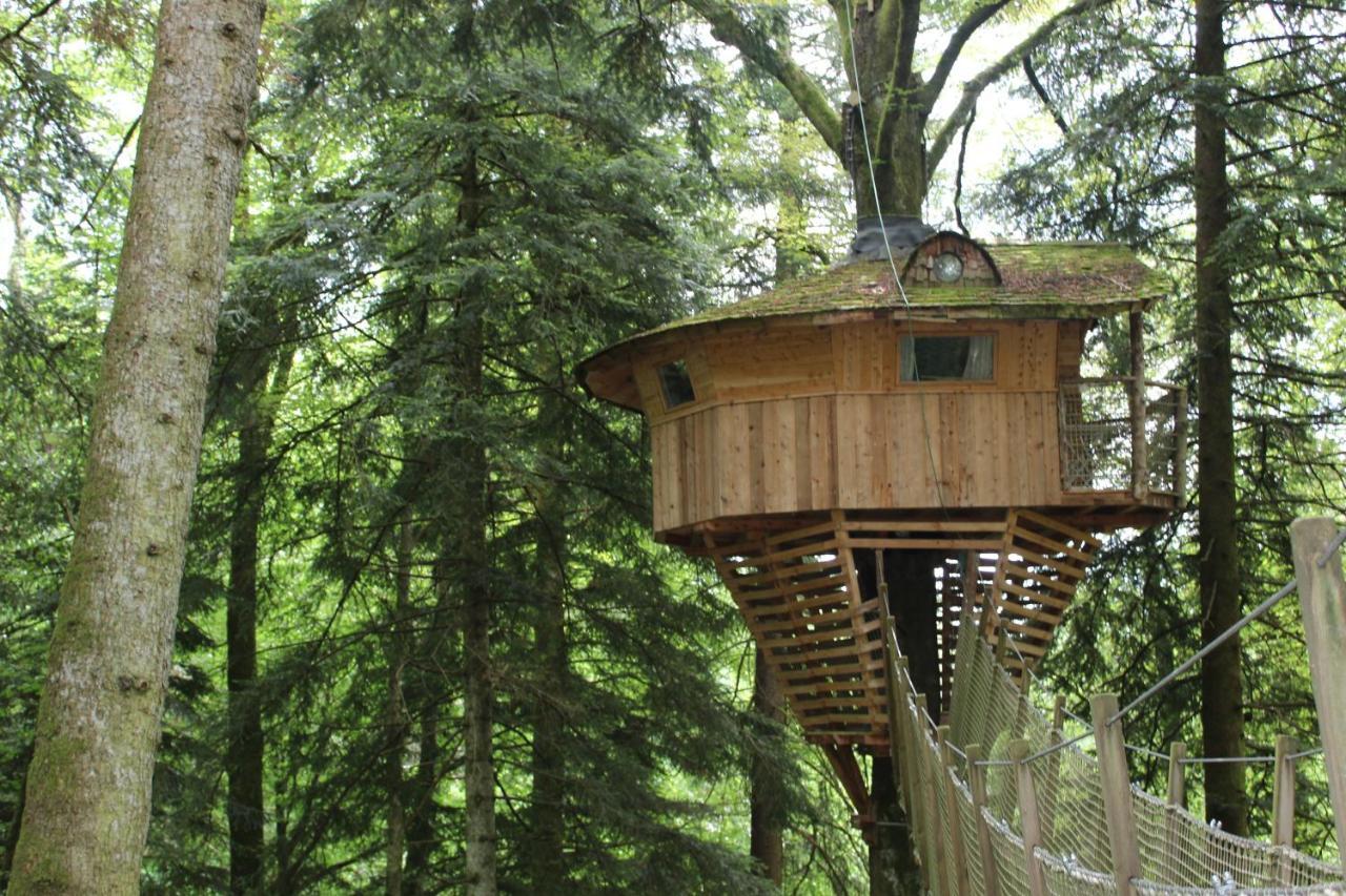 Domaine De Syam - Gites, Chambres D'Hotes & Cabanes Kültér fotó